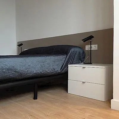 Apartment Viladomat